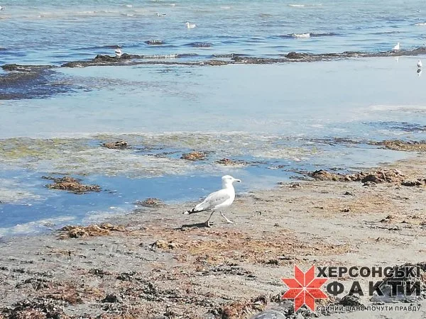 На курортах Херсонщины готовятся к окончанию сезона