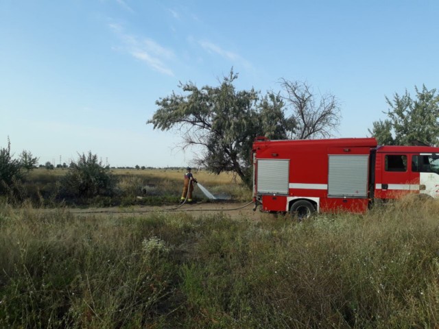 За сутки ликвидировано семь пожаров в экосистемах области