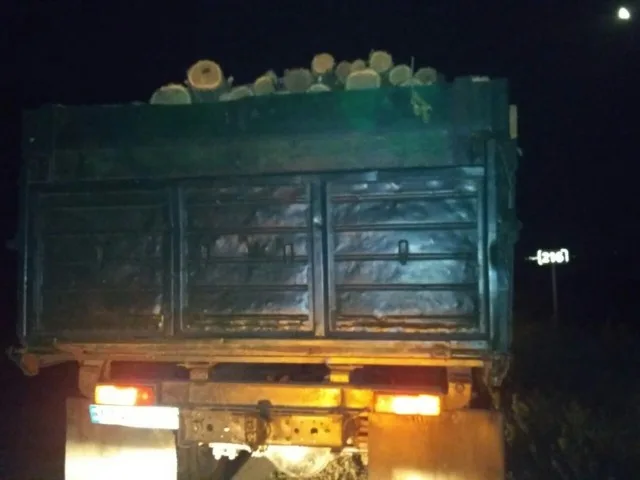 На Херсонщине полиция проверяет законность перевозки лесоматериалов