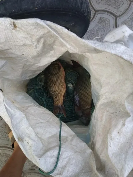 На Каховском водохранилище задержали браконьеров с уловом на более 9 тыс. грн, – Херсонский рыбоохранный патруль