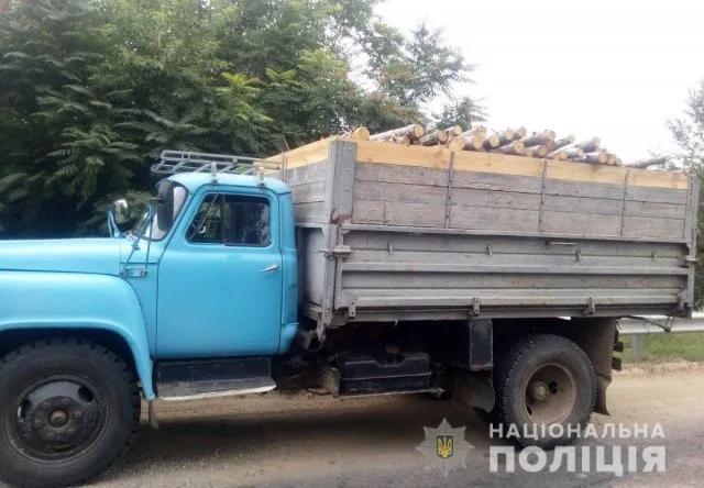 На стационарном посту «Шилова Балка» полицейские проверяли законность перевозки древесины