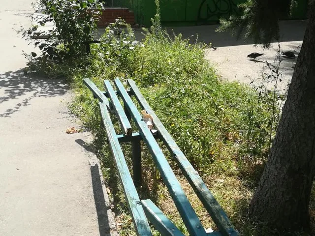 Вандалы растрощили лавочки в Херсоне