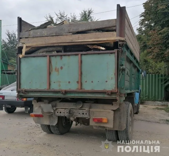 Полиция задержала очередных лесных браконьеров