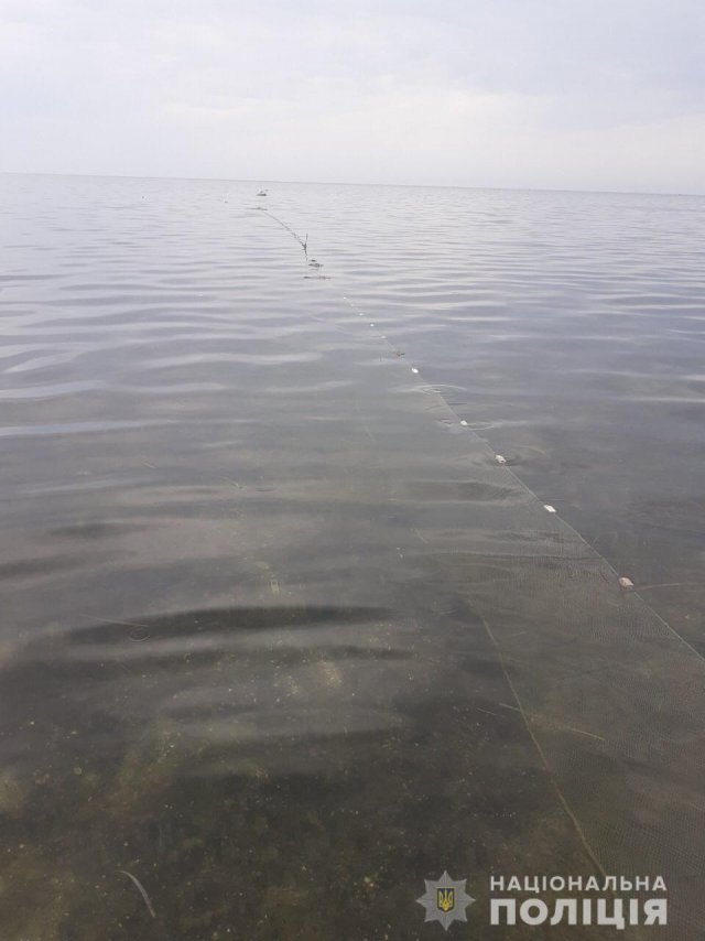 На Херсонщине водные полицейские выловили браконьерские снасти с уловом на 45 тыс. грн