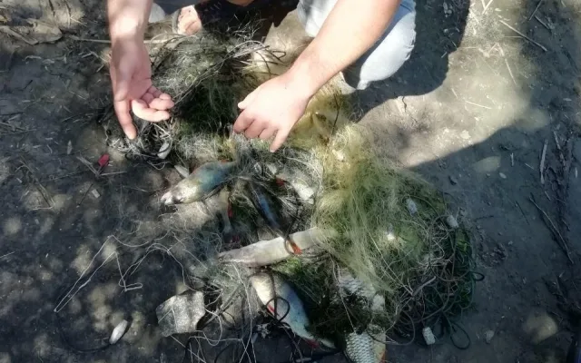 В течение шести дней водными полицейскими изъято почти сто килограмм незаконного улова