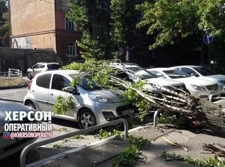 В Херсоне часть дерева упала на авто