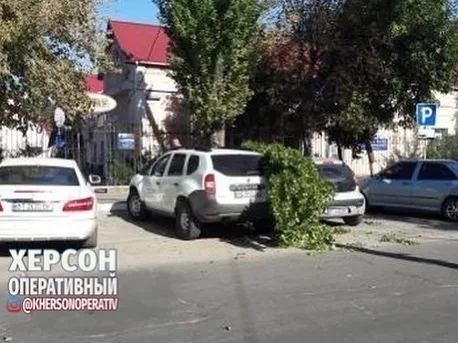 В Херсоне часть дерева упала на авто