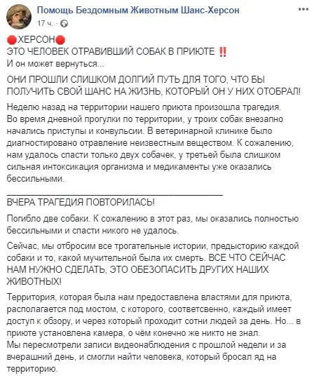 В Херсоне появился догхантер, который убивает собак в приюте для животных: подробности