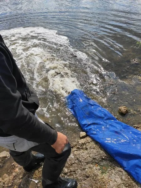 В Каховское водохранилище вселено почти 7 тонн рыбы, – Херсонский рыбоохранный патруль