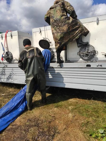 В Каховское водохранилище вселено почти 7 тонн рыбы, – Херсонский рыбоохранный патруль