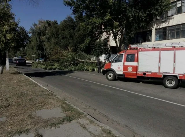 На Херсонщине на проезжую часть упало огромное дерево