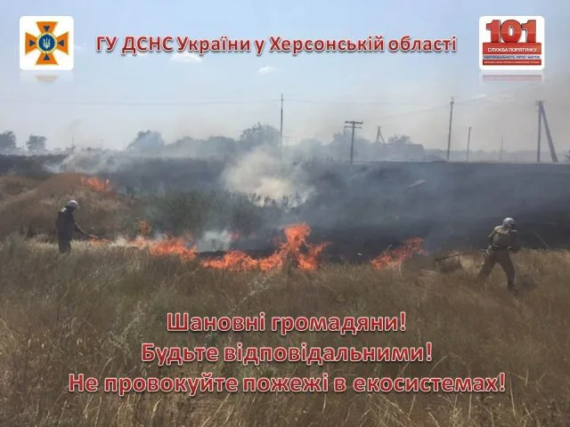 На Херсонщине сгорело больше 5 га леса