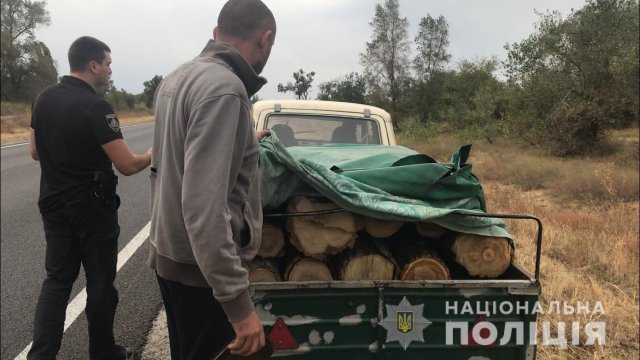 Возле Олешек задержали лесного браконьера с прицепом пиленой акации