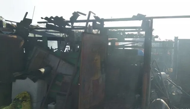 В Геническом районе огнем уничтожено грубые корма и домашняя птица