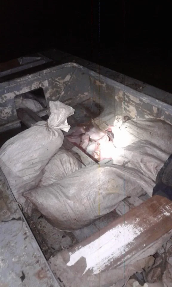 На берегу Азовского моря пограничники обнаружили нарушителей с рыбой калкан на 120 тысяч гривен