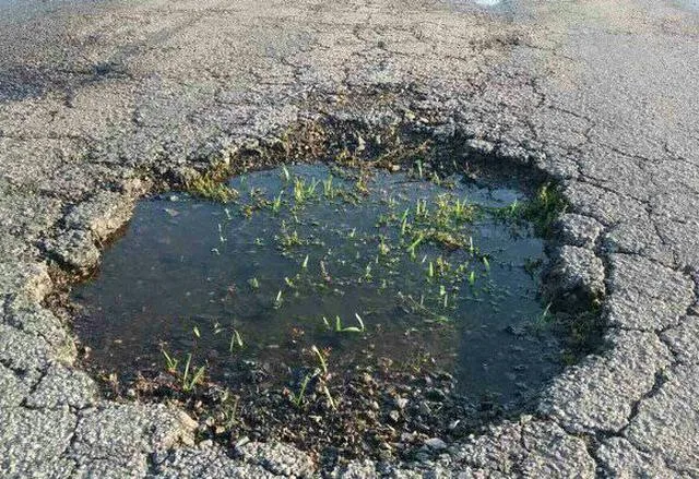 Ямы на дороге Ивановка – Геническ зарастают травой