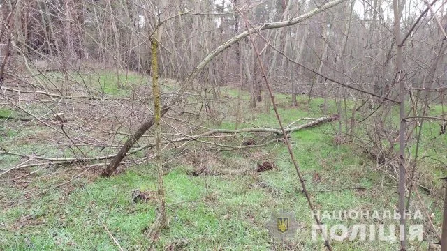 По факту незаконной вырубки акации в Голопристанском районе полиция открыла уголовное производство