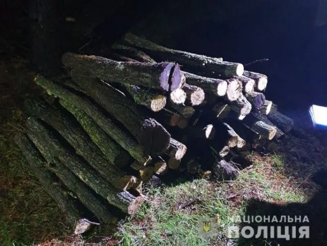 За минувшие сутки работники Голопристанского отделения полиции задокументировали два факта незаконной вырубки леса