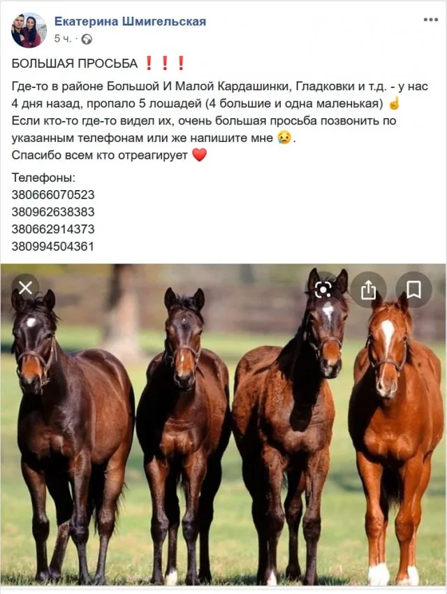 На Херсонщине разыскивают пропавших лошадей
