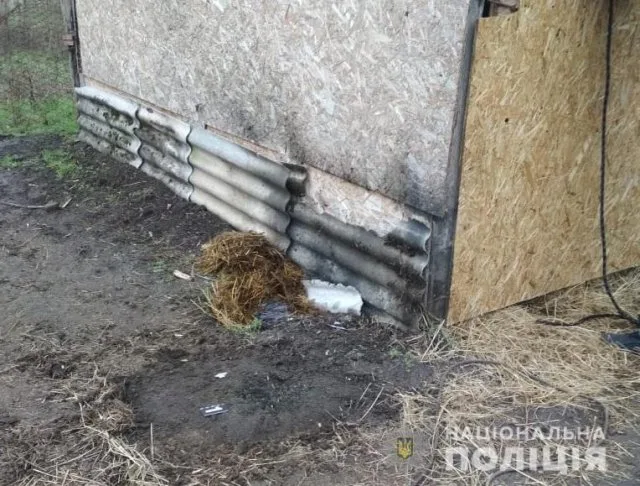 Полиция Херсонщины устанавливает обстоятельства взрыва в Олешковском районе
