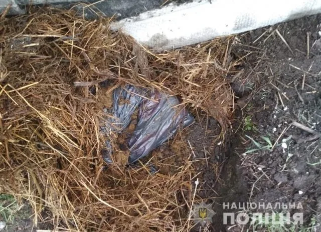 Полиция Херсонщины устанавливает обстоятельства взрыва в Олешковском районе