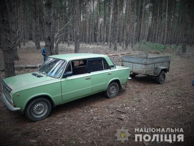 Спилил четыре сосны для отопления собственного дома браконьер в Голопристанском районе