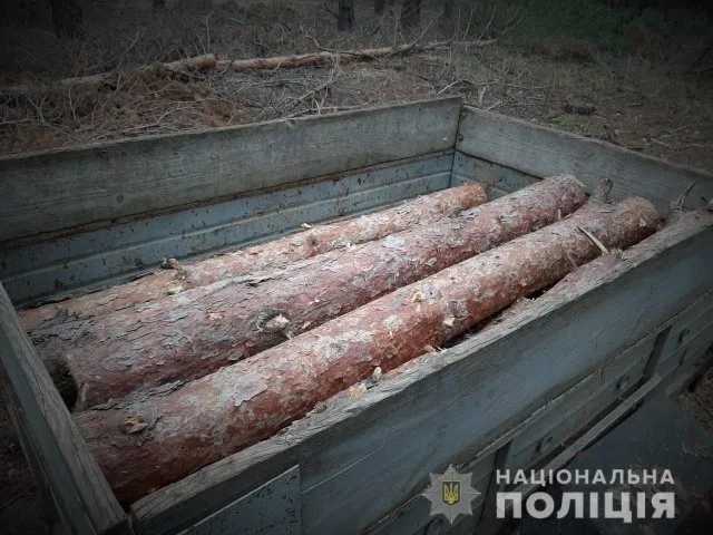 Спилил четыре сосны для отопления собственного дома браконьер в Голопристанском районе