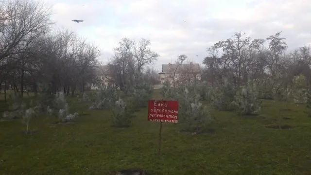 В Таврийске поголубели елки: их обраотали вонючим составом от браконьеров