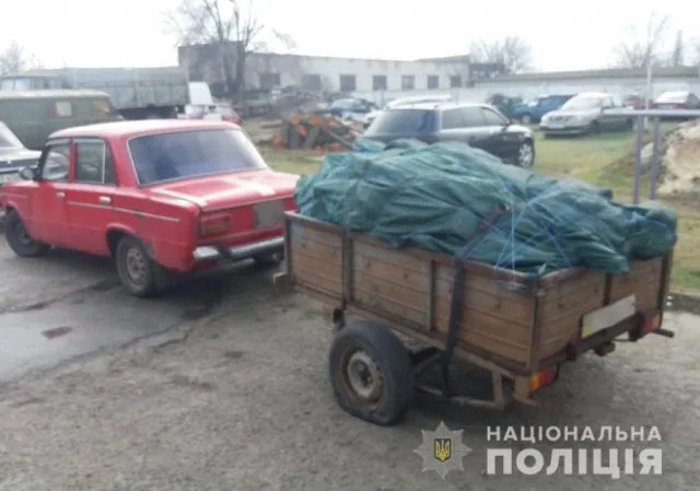На Херсонщине полиция начала проверку законности реализации хвойных деревьев