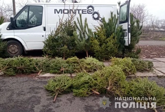 На Херсонщине полицейские изъяли из незаконной продажи 80 елок и более тысячи единиц пиротехники
