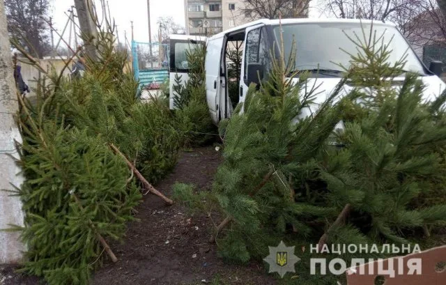 На Херсонщине полицейские изъяли из незаконной продажи 80 елок и более тысячи единиц пиротехники