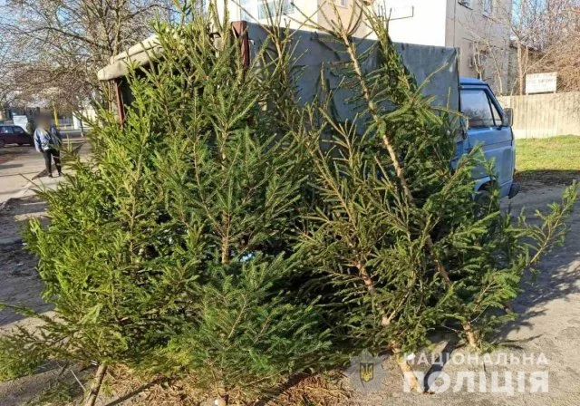 На Херсонщине полицейские изъяли из незаконной продажи 80 елок и более тысячи единиц пиротехники