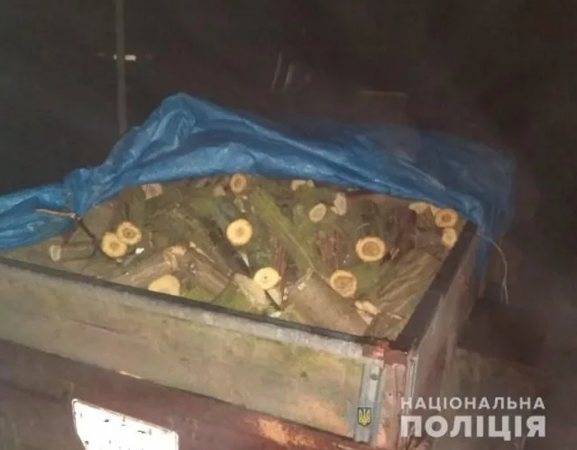 Голопристанские полицейские разоблачили лесного браконьера