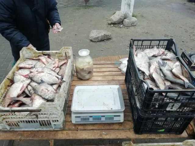 На рынках Херсона обнаружено незаконную продажу 45 кг водных биоресурсов