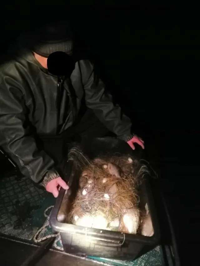 В течение недели херсонские браконьеры незаконно добыли больше четверти центнера рыбы