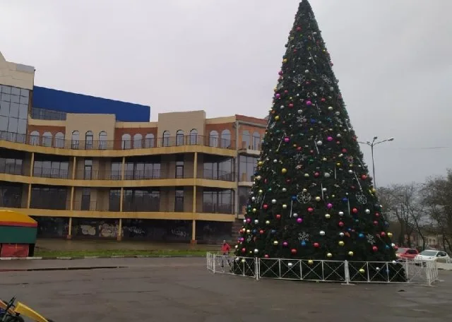Сколько херсонцам стоила главная елка города