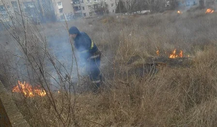 Новый год: На Херсонщине горела сухая трава