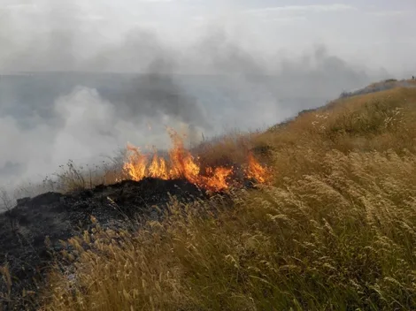 Новокаховские спасатели ликвидировали пожар на открытой территории