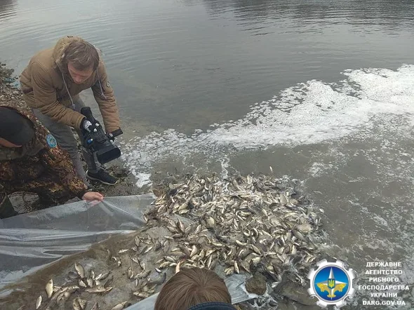 В Госрыбагентстве рассказали, сколько рыбы в минувшем году выпустили в водоемы херсонские рыбзаводы