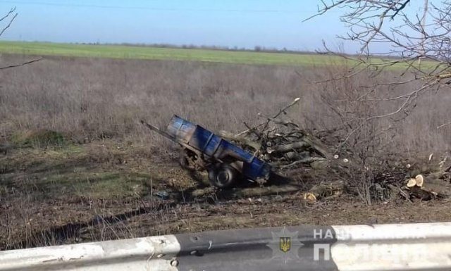 В Бериславском районе полицейские задержали лесных браконьеров