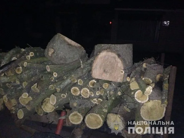 Скадовские полицейские разоблачили очередного лесного браконьера