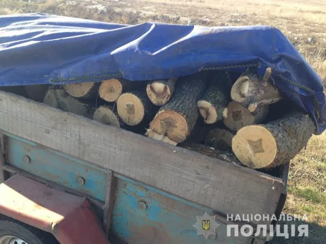 У Скадовска полицейские остановили автомобиль с дровами без документов