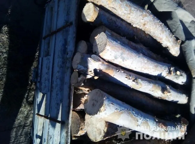 В Голопристанском районе правоохранители разоблачили «черного лесоруба»