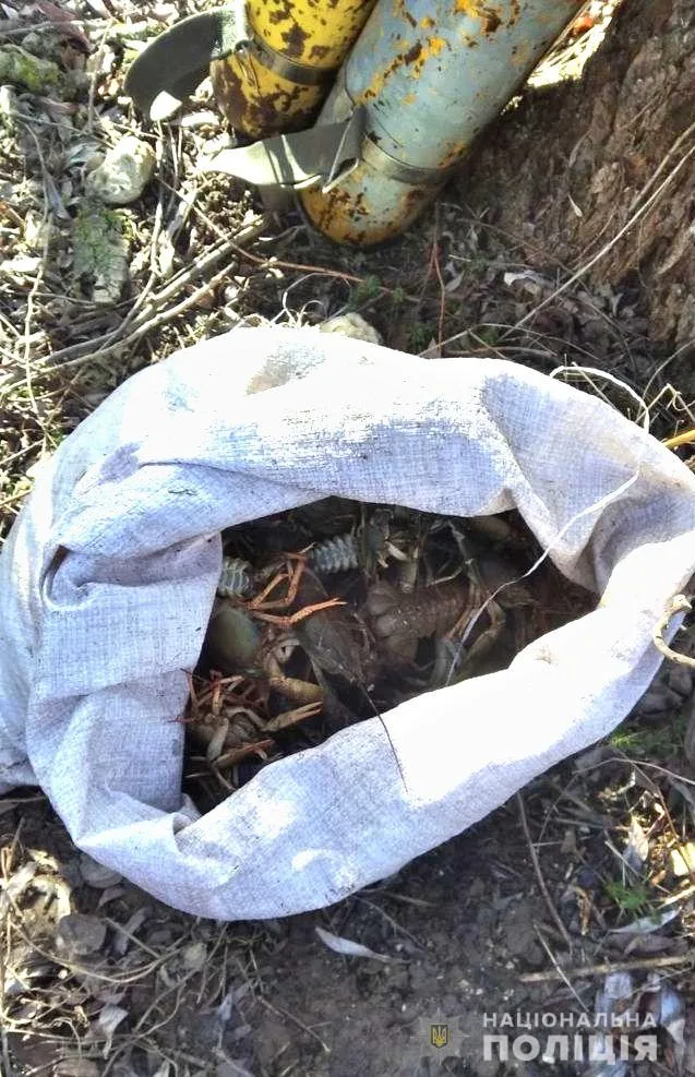 Полицейские и работники Национального природного парка «Каменская Сечь» выпустили раков, изъятых у браконьеров