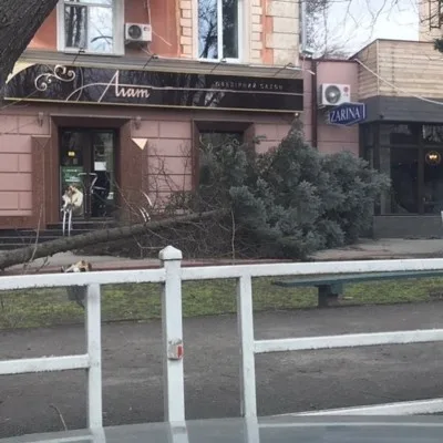 Погодный апокалипсис в Херсоне: ураганный ветер валит бигборды и светофоры