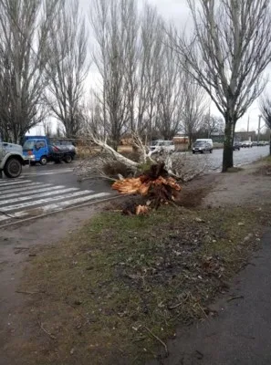 Погодный апокалипсис в Херсоне: ураганный ветер валит бигборды и светофоры