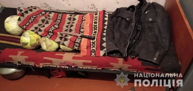 Подросток раскрыл тяжкое преступление на Херсонщине
