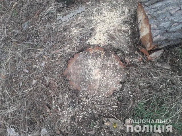 В Голопристанском районе полицейские устанавливают лесных браконьеров
