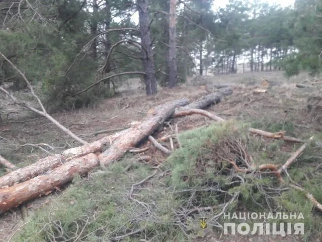 В Голопристанском районе полицейские устанавливают лесных браконьеров