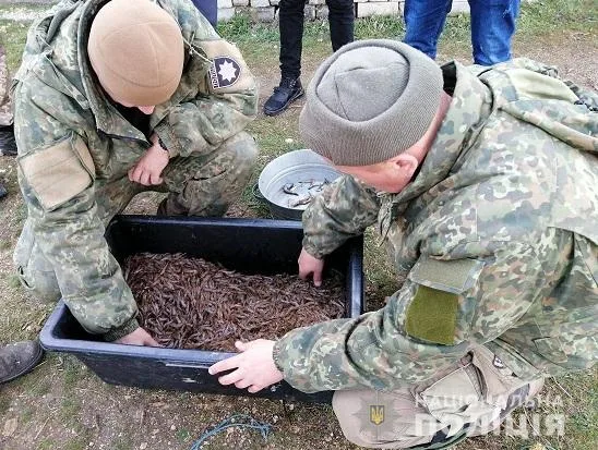 На Херсонщие браконьер выловил более 12 тысяч креветок
